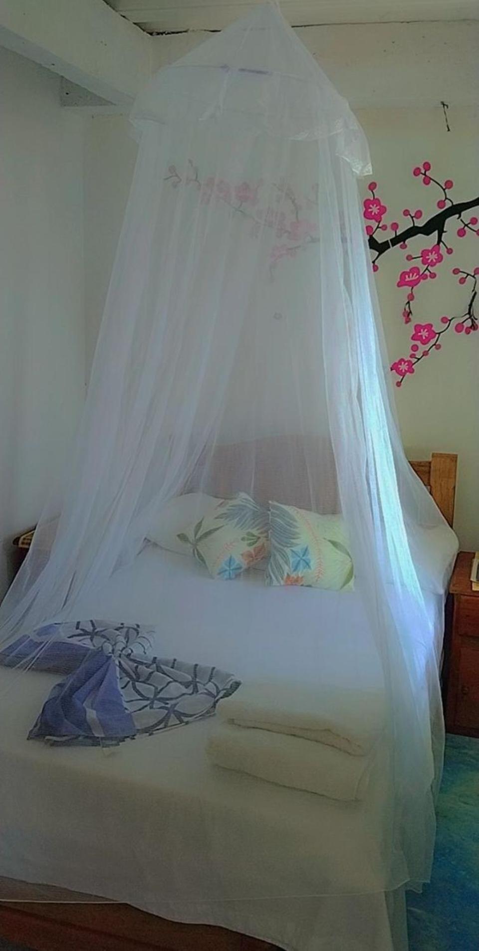 Hostel Blue Sea Rincon Del Mar エクステリア 写真